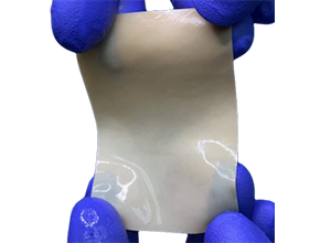 Tissue patch thumbnail image